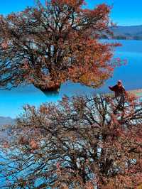 麗江第一天就這麼美接下來的日子可怎麼過！