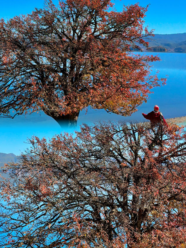麗江第一天就這麼美接下來的日子可怎麼過！