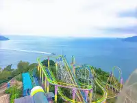 東莞出發!香港海洋公園一日遊攻略