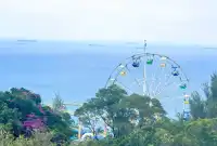 東莞出發!香港海洋公園一日遊攻略