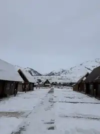 是誰在禾木住進了夢中情屋人均300+