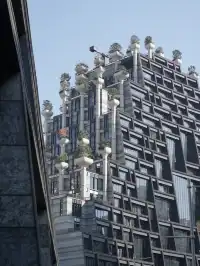 千樹最佳拍照打卡路線來了!