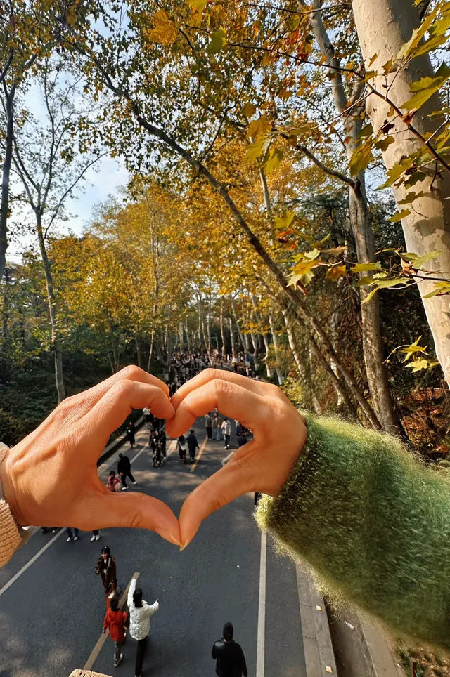 賞秋最美南京|鐘山風景區一天遊 賞秋最美南京|鐘山風景區一天遊