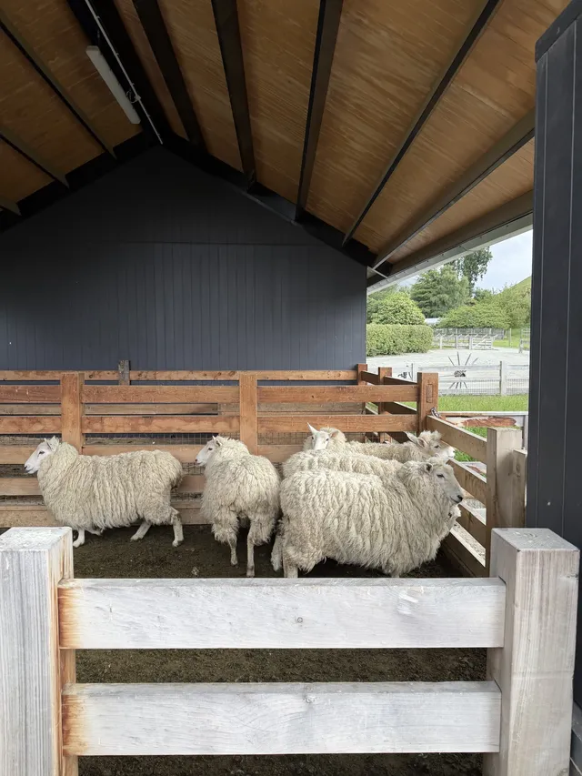 誰懂啊!在新西蘭坐上蒸汽船,像闖進童話世界 誰懂啊!在新西蘭坐上蒸汽船,像闖進童話世界