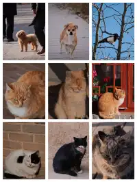 【冬季寧夏】銀川中衛