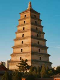 睡在博物館裡!西安大唐不夜城旁的考古親子房