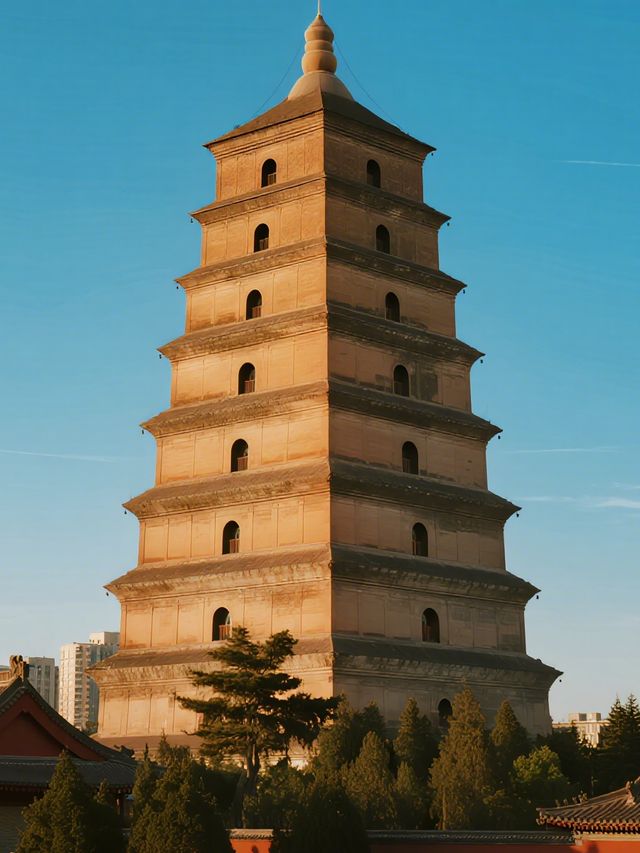 睡在博物館裡!西安大唐不夜城旁的考古親子房 睡在博物館裡!西安大唐不夜城旁的考古親子房