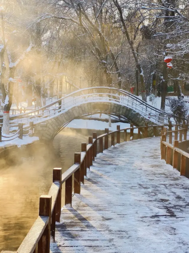 Winter in Heze, a Different Kind of Peony Romance