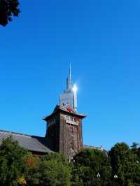 說走就走的金陵之旅2.5天年假邂逅南京的秋