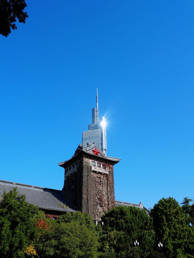 說走就走的金陵之旅2.5天年假邂逅南京的秋 說走就走的金陵之旅2.5天年假邂逅南京的秋