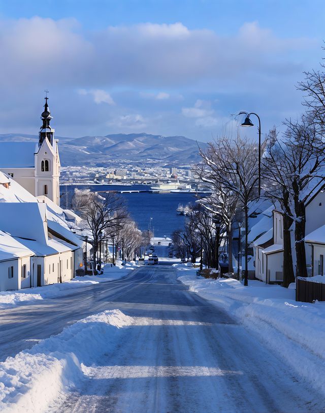 北海道12月！粉雪溫泉海鮮爽到飛起