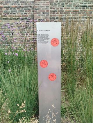 สวรรค์ที่ซ่อนเร้น: สวนลับแห่งซิททาร์ด 🌹✨