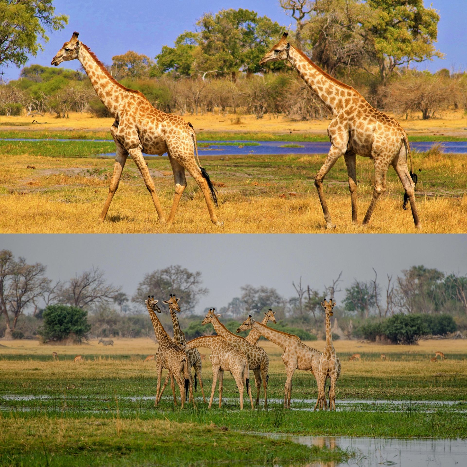 Hành trình qua bốn quốc gia: sang trọng và kỳ thú