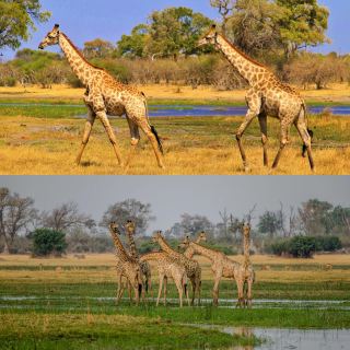 สัมผัสความหรูหราและมหัศจรรย์ 4 ประเทศในทริปเดียว