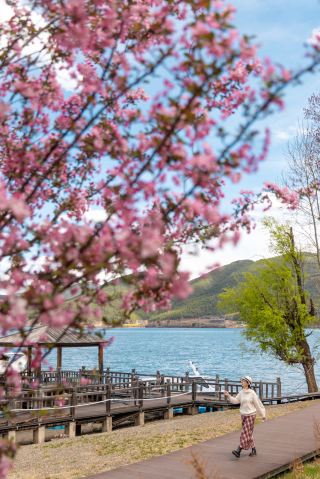 Springtime Flower Viewing Wonderland Photo Spot