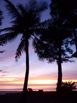 Perfect Relaxation at Casuarina Palms