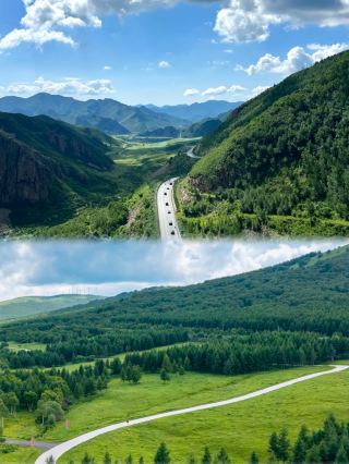 Fengning Bashang Grassland | Stay in a summer cloud, wake up to endless green