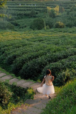 | Hanzhong | Xi’an 40 ℃, Hanzhong too, Qianshan Tea Inn doesn’t follow