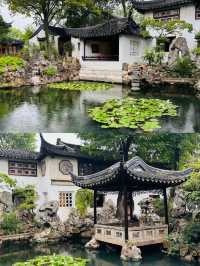 別去拙政園人擠人了！留園才是蘇州園林天花板，晨光曲廊美到失語