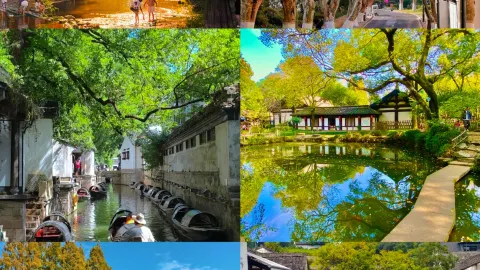 Shaoxing is about to become an overturned palette of red, orange, yellow, and green! Here are 3 legendary autumn foliage routes — traveler post in Shaoxing