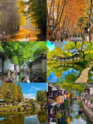 これからの紹興は、赤・橙・黄・緑のパレットをひっくり返したような美しさ！秋の絶景を楽しむ神ルート3選