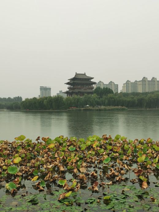 [Cheng'an County, Hebei Province] Ruyi Park.