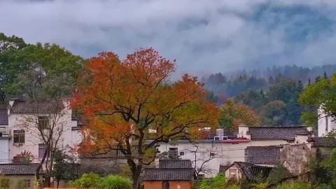 Tránh những cuộc trò chuyện xã giao gượng gạo trong hoạt động xây dựng đội nhóm tại Huangshan Hongcun! Tour du lịch trọn gói ngắm cảnh mùa thu tại Tachuan! — traveler post in Huyện Y