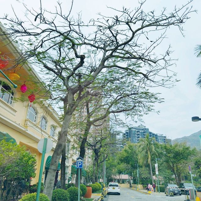 歡樂的氣氛！開心相聚香港黃金海岸商場！