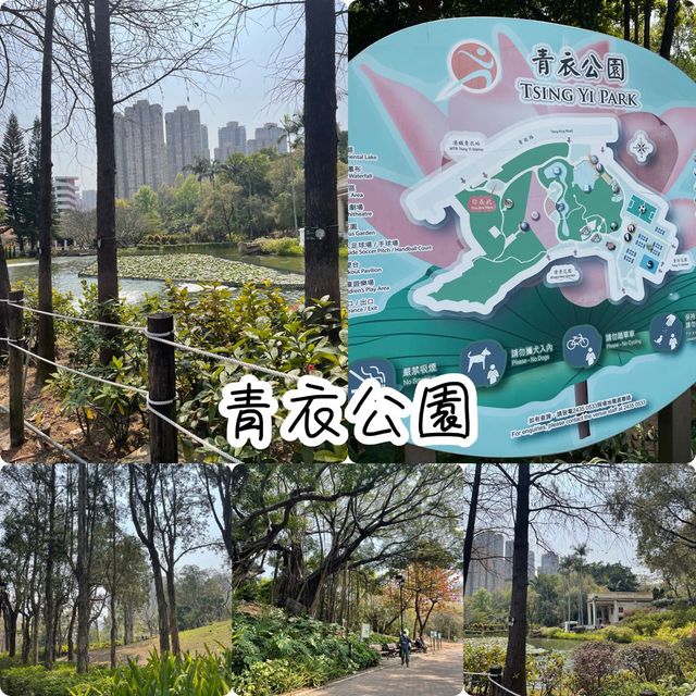 青衣休憩公園🫶🏻草地池塘😍散步🚶🏻‍♀️好去處