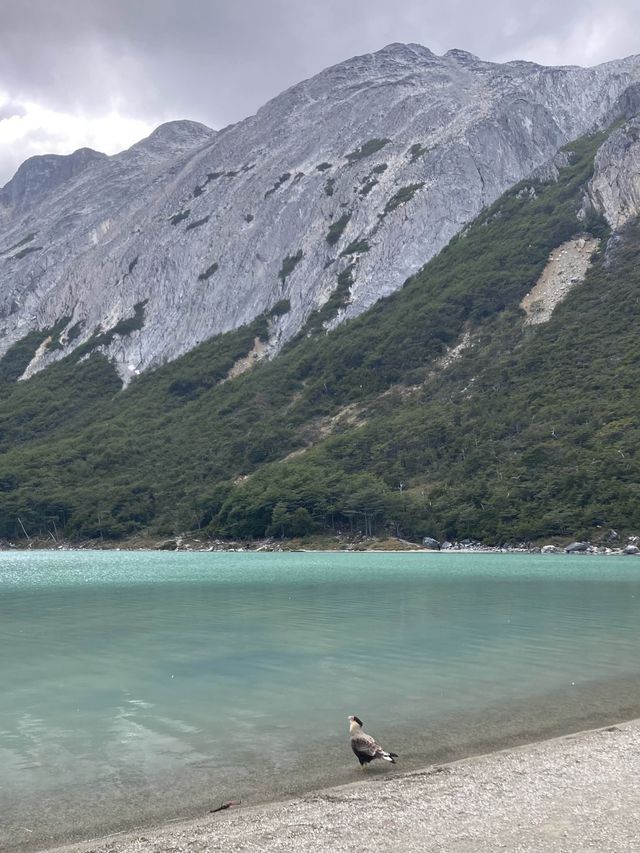 Lost In Nature - Ushuai’s National Park