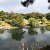 名古屋公園漫步行