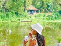 Light Beverage and MORE คาเฟ่กลางเมืองเชียงใหม่
