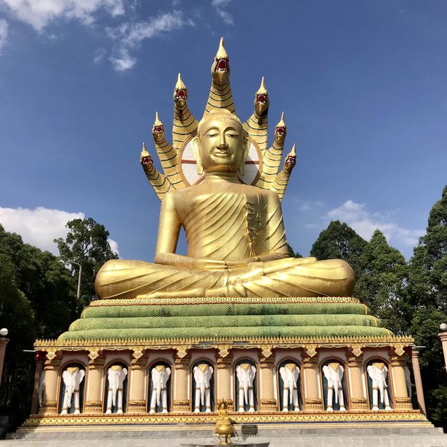 วัดบางเหรียง ทับปุด พังงา