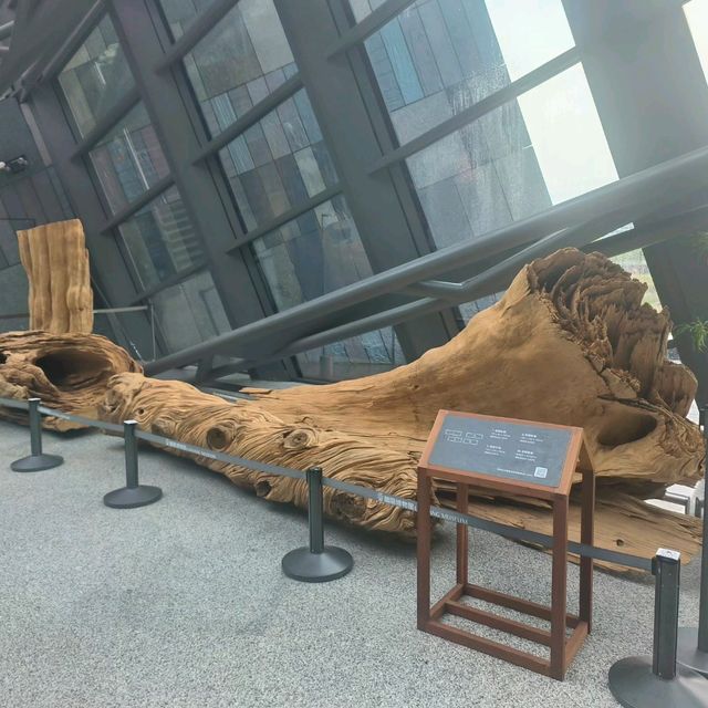 好玩好拍網美親子景點 蘭陽博物館
