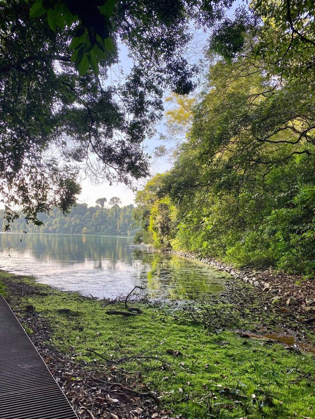 Singapore’s largest reservoir 💧