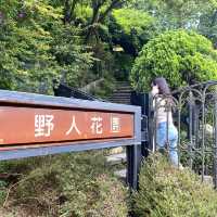 The hidden gem of Taipei Yang Ming Shan