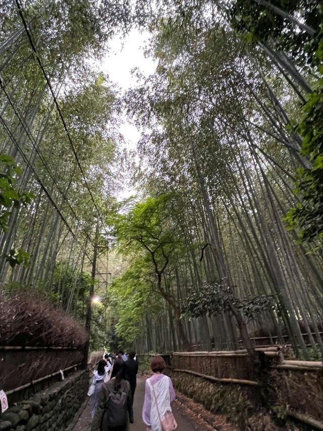 【細心欣賞大阪嵐山】三個推介景點🇯🇵