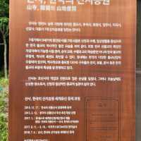 백범김구선생과 마곡사  산사에 유네스코등재 여기다