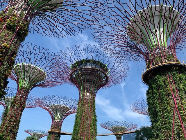 Electric Tree in Gardens By The Bay