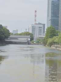 東京駅から徒歩数分皇居周り