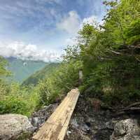 【山梨】いざ夏山へ！広河原から白根御池までの登山道