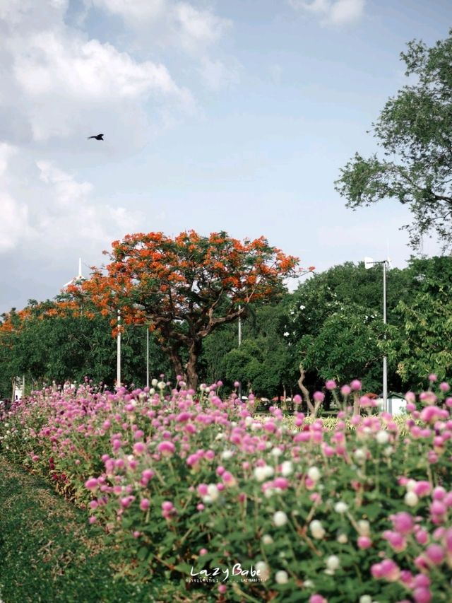พักผ่อนหย่อนใจที่ สวนลุมพินี 🌱🌿🍃