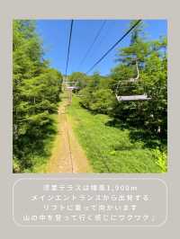 【長野】わんこと行ける絶景スポット🌿