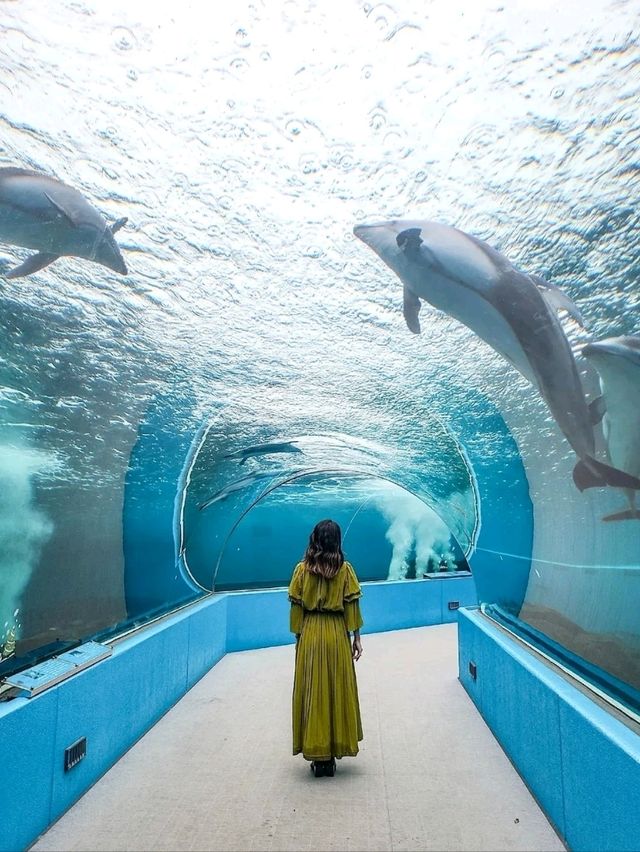能登半島旅をご紹介