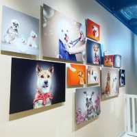 Woof & Magic shop , restaurant & cafe !