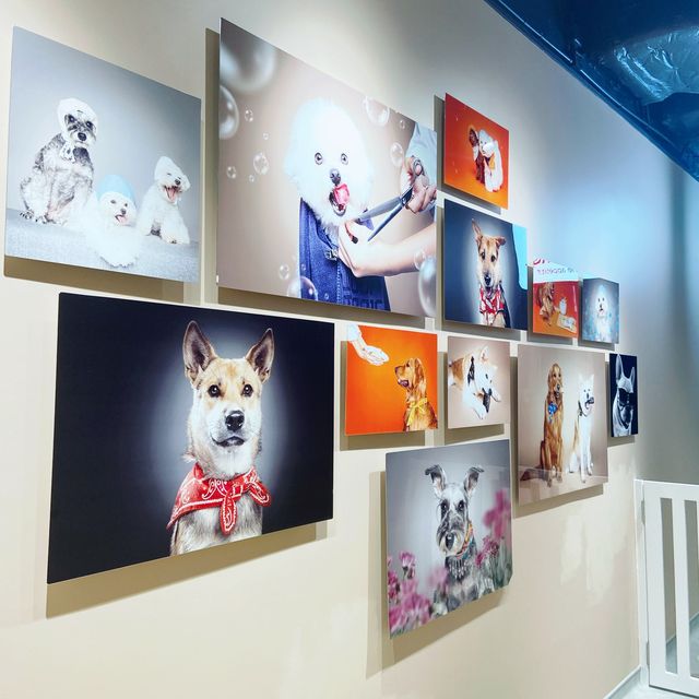 Woof & Magic shop , restaurant & cafe !