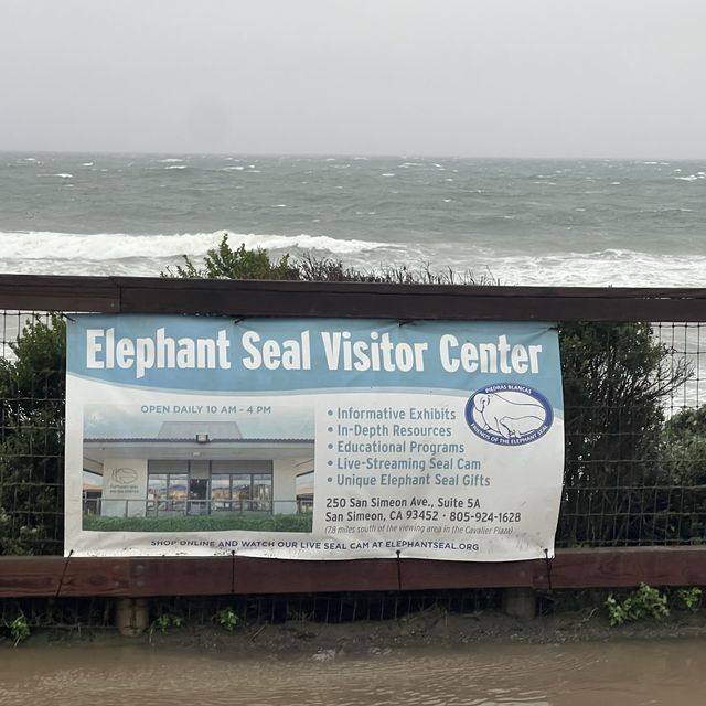 Elephant Seal Vista Point , อเมริกา