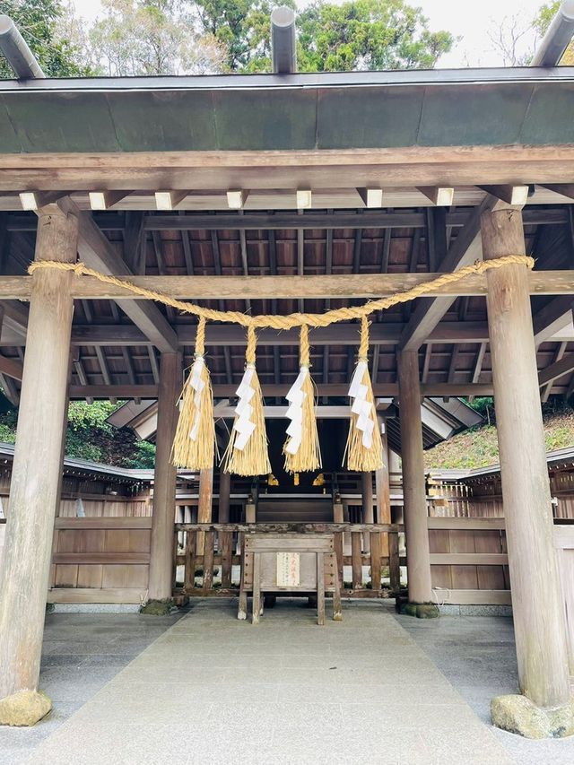 【安房神社/千葉県】日本三大金運神社