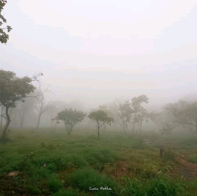 ผาสุดแผ่นดิน อุทยานแห่งชาติป่าหินงาม จ.ชัยภูมิ