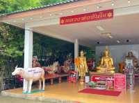 วัดสมานรัตนาราม วัดชื่อดัง ใกล้ กทม.